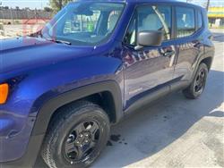 جيب رينيجيد